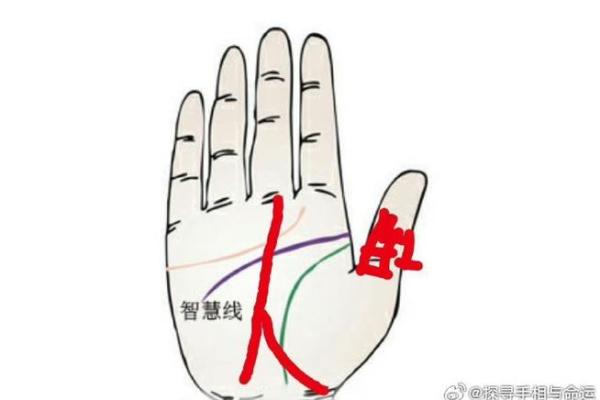 手中藏佛光，揭秘手相中的神秘佛纹！