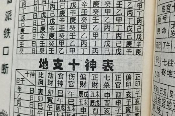 地支十神排布大揭秘，揭开命理学的神秘面纱