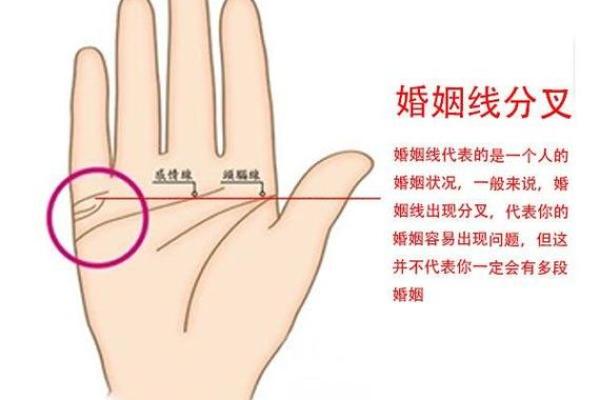 时尚潮流，手相流苏纹新趋势