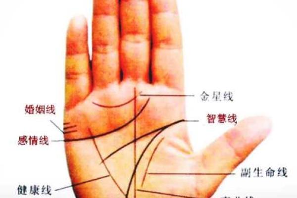 手相揭秘：婚姻线预示你的完美姻缘！