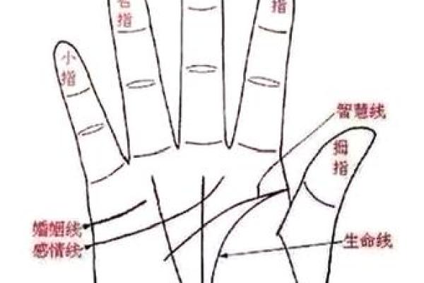 手相探秘：揭秘财富运势的神秘榜单