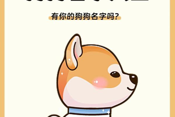 狗宝宝名字精选集