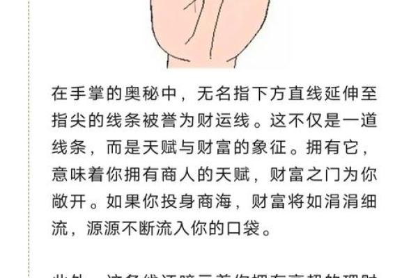 手纹解读指南：掌握未来，从读懂你的掌中秘密开始