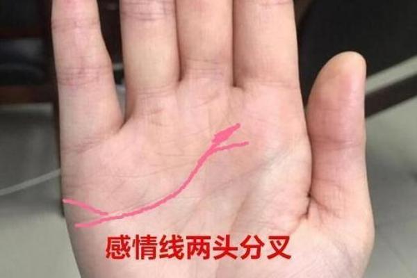 爱情命盘：揭秘女人手相中的爱情密码