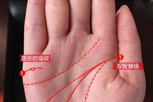 爱情命盘：揭秘女人手相中的爱情密码