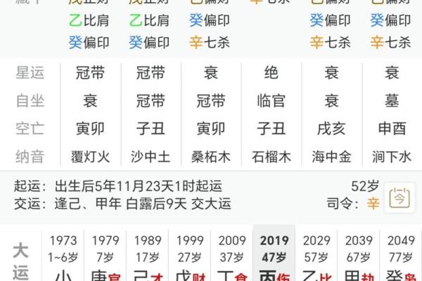 丑时运势攻略：如何运用地支丑的力量，提升你的运势