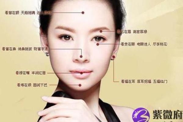额头长面相的神秘解读