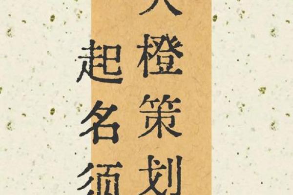 名字的力量：三秋取名秘籍大揭秿