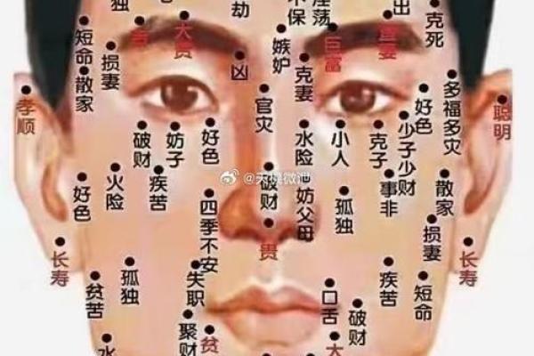 痣相学宝典：揭秘面部痣相与人生运势的惊人联系！