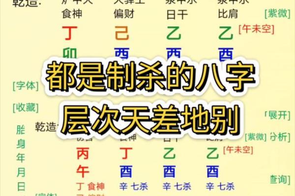 地支揭秘：你的健康隐患藏在哪里？