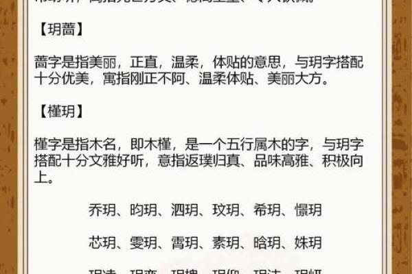 笔画传承：揭秘名字笔画相同的文化内涵与寓愿