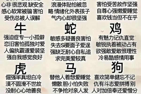 天地之秘，揭秘十二生肖的奥秘