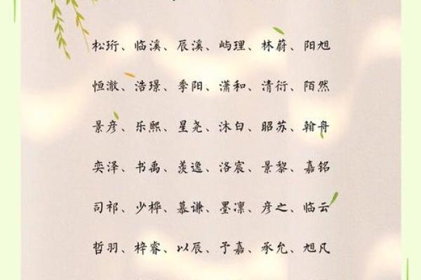 如何为男生选择一个有寓意的名字