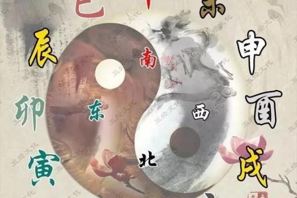 地支合局巧运用：让你的运势翻倍提升