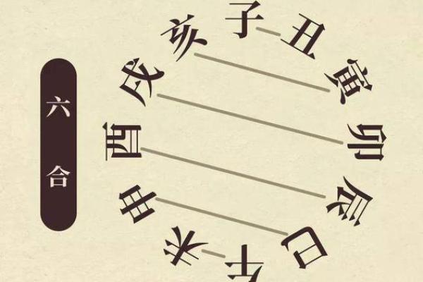 地支合局巧运用：让你的运势翻倍提升