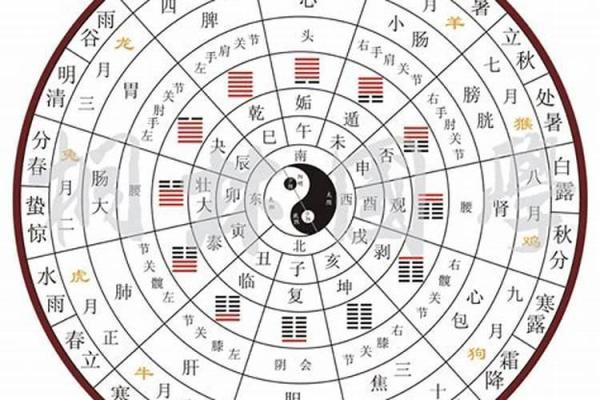 天干地支占卜：揭秘你的爱情、事业、健康运势