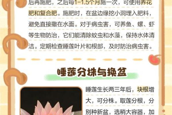 睡莲进办公室？揭秘四大风水禁忌，小心影响运势！