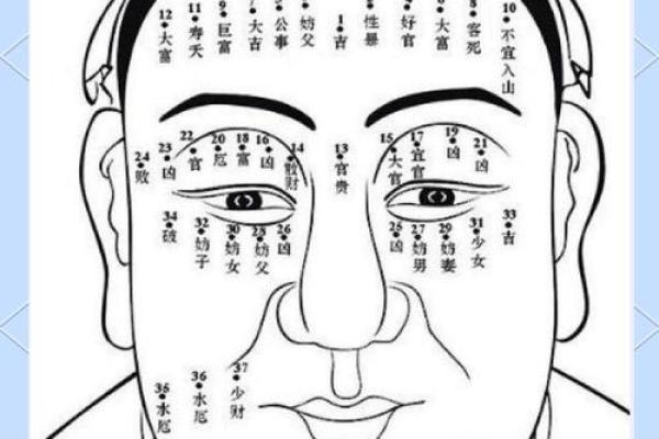 眉眼间距过大：面相解析中的神秘象征