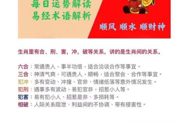 地支相克五大组合，小心踩雷，保护你的运势
