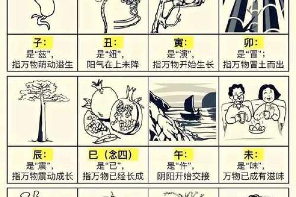 地支相克五大组合，小心踩雷，保护你的运势