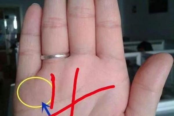 女士掌中玄机：手相揭秘，财运、健康全掌握！