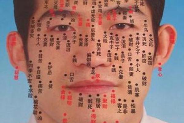 面相痣谱：男性面相解读密码
