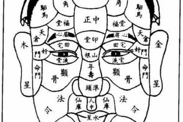 面相痣谱：男性面相解读密码