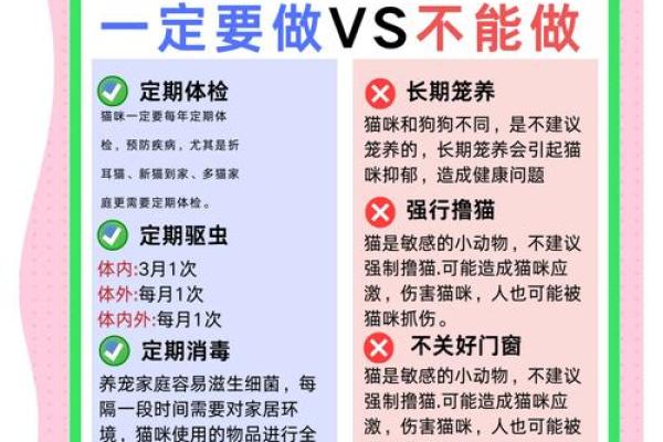 猫咪命理揭秘：养猫如何助你转运？