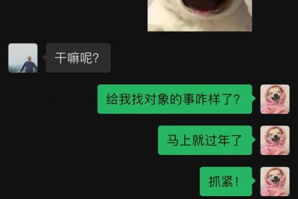 桃花运爆棚，催婚秘术大公开！