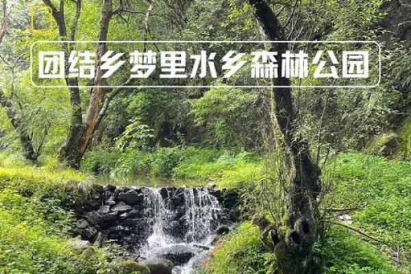 森林之梦：为您的公司注入自然力量的名字灵感