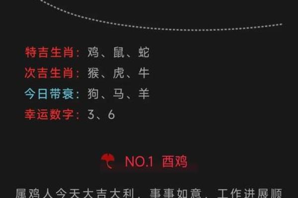 地支用神揭秘：解锁十二生肖运势密码