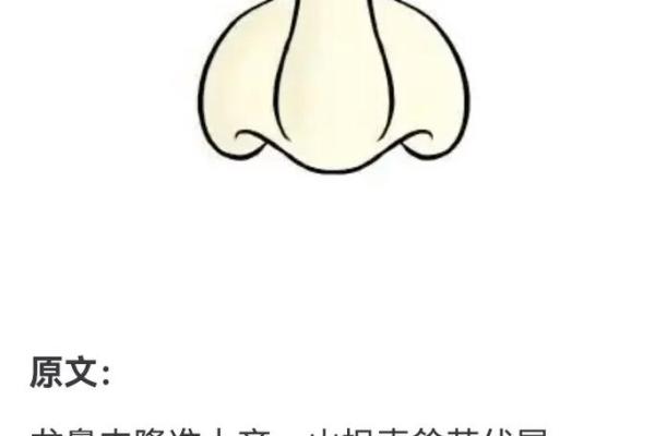 面相揭秘：鼻管直面，财富运势一览无遗