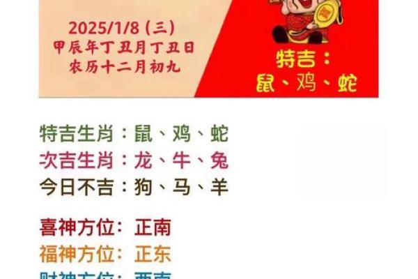 名字凶吉表对个人运势的影响与解析