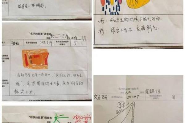 姓化名字的背后意义与文化探讨