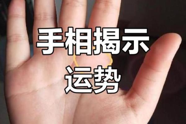 手相揭秘：女性命运的秘密花园