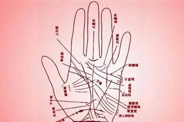 手相揭秘：女性命运的秘密花园
