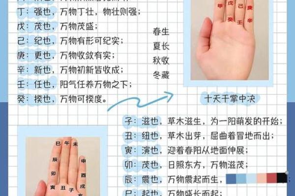 解锁月份秘密：天干地支如何决定天数？