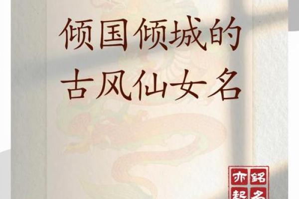小说中的仙女公司名称：如何找到合适的灵感