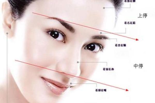 独特魅力，一眼识腿型，揭秘面相背后的秘密！