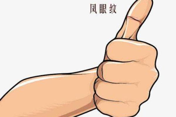 手中凤眼现，运势亨通财运旺，揭秘你的运势密码