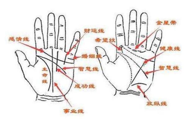 学历鉴定神器！手相看学历，准到惊人！