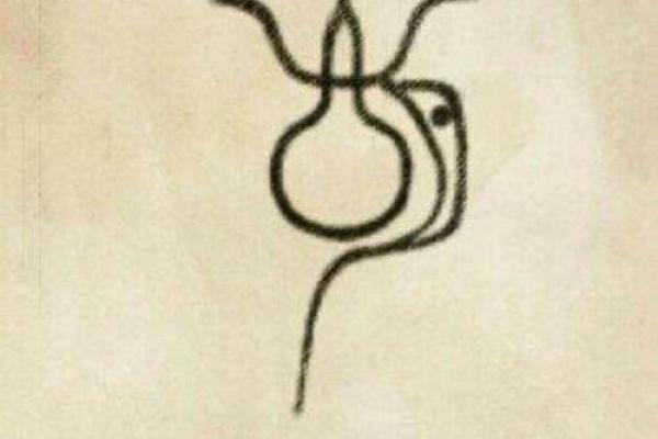 胡姓女宝宝起名灵感库