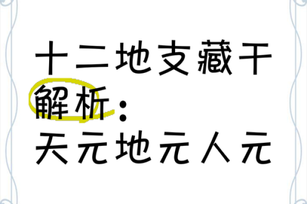 十二生肖地支藏干，探寻古人的智慧宝藏