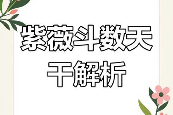 解锁命运密码：陈钰独家命理揭秘