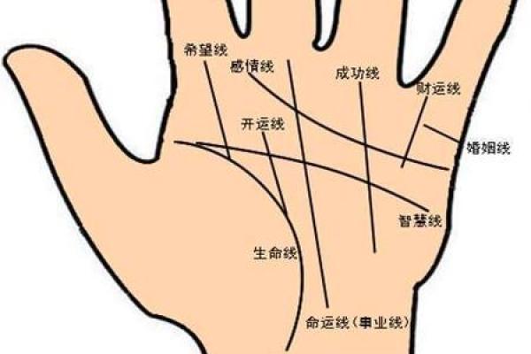 手相大揭秘：痣的分布揭示你的运势秘密
