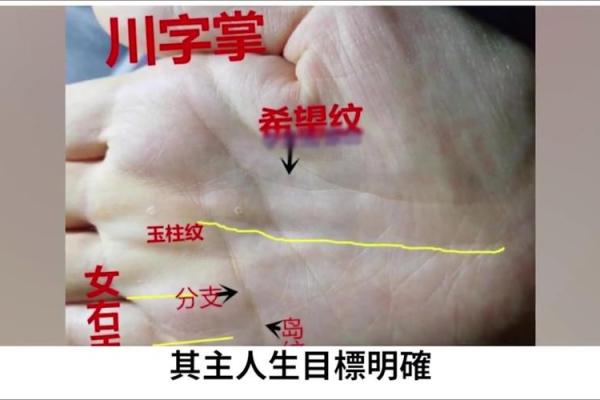 手相大揭秘：痣的分布揭示你的运势秘密