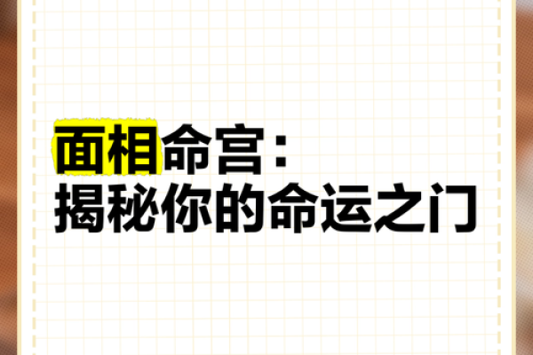 命运之门：揭秘47数背后的神奇力量
