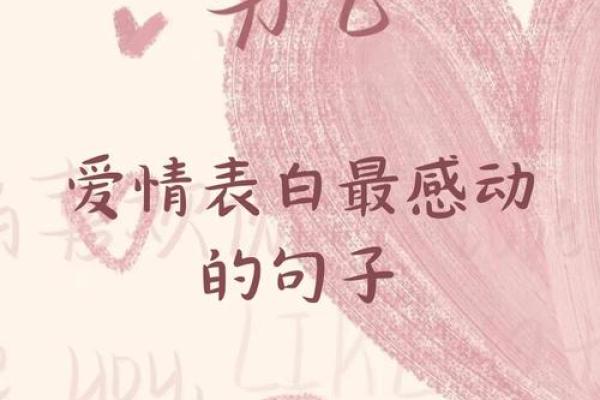 爱情相册中的温暖时光