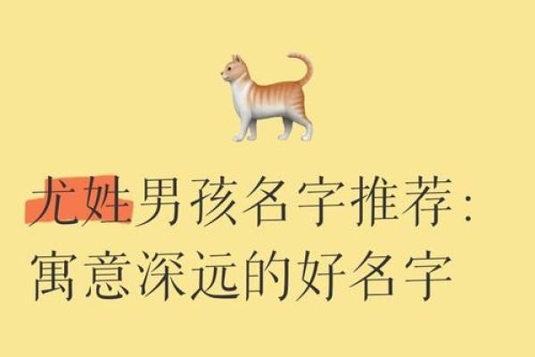 尤姓文化：探寻名字背后的深厚底蕴