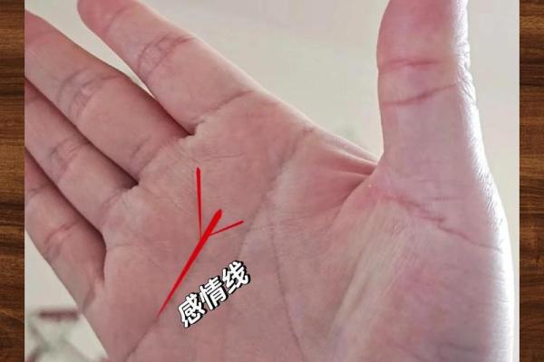 遇难手相大揭秘：如何化险为夷？